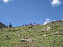 DSC08501.JPG