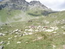 DSC08502.JPG