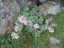 DSC08503.JPG