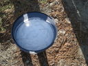DSC08510.JPG