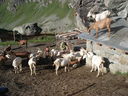 DSC08513.JPG