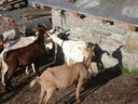 DSC08514.JPG