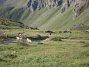 DSC08517.JPG