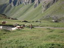DSC08518.JPG