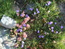 DSC08519.JPG