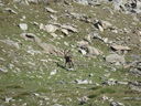 DSC08527.JPG