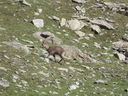 DSC08529.JPG