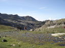 DSC08530.JPG