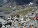 DSC08552.JPG