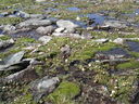 DSC08567.JPG