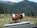 DSC08586.JPG