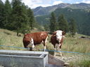 DSC08587.JPG