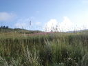 DSC08597.JPG