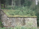 DSC08599.JPG