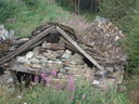 DSC08601.JPG