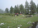 DSC08611.JPG