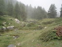 DSC08613.JPG