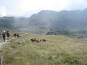 DSC08617.JPG