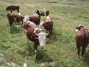 DSC08620.JPG