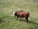DSC08621.JPG