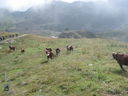 DSC08622.JPG