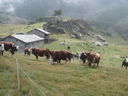 DSC08624.JPG