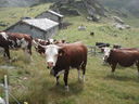 DSC08625.JPG