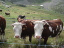 DSC08626.JPG
