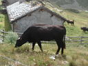 DSC08627.JPG
