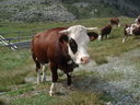 DSC08628.JPG