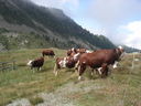 DSC08629.JPG