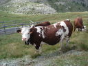 DSC08632.JPG