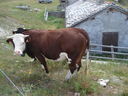 DSC08633.JPG