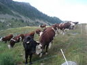 DSC08635.JPG