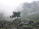 DSC08636.JPG