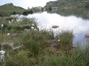 DSC08638.JPG