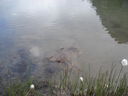DSC08639.JPG