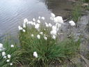 DSC08640.JPG