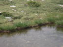 DSC08650.JPG
