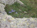 DSC08651.JPG