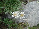 DSC08653.JPG