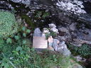 DSC08654.JPG