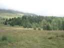 DSC08658.JPG