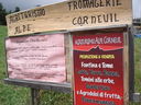 DSC08660.JPG