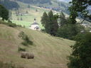 DSC08661.JPG