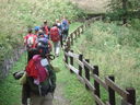 DSC08662.JPG