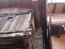 DSC08670.JPG