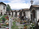 DSC08673.JPG