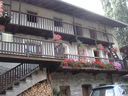 DSC08676.JPG