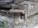 DSC08682.JPG